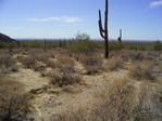 2006_24.JPG