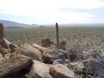 2007_09.JPG